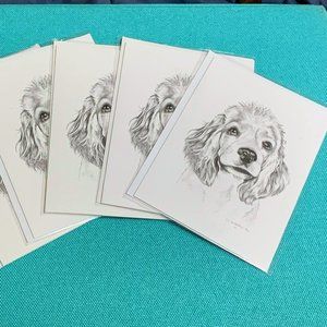 Five 5 x 7 premium white note cards with envelope COCKER SPANIEL